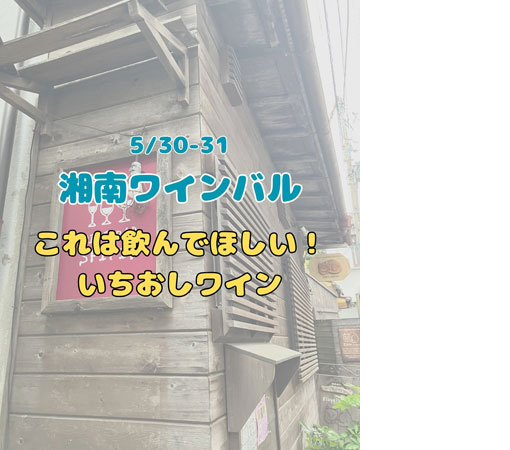 湘南ワインバルはワインが凄い