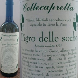 ピグロ・デッレ・ソルベ[2015]コッレカプレッタ【自然派　イタリア　白ワイン】