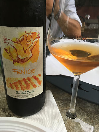 フェニーチェ[2013]カ・デル・コンテ【自然派ワイン　イタリア　マセラシオンワイン】
