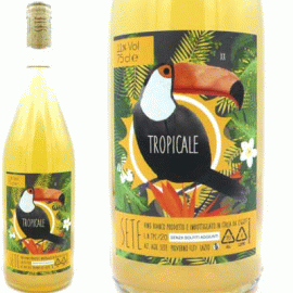 トロピカーレ[2020]セーテ【イタリア　ラツィオ　自然派　マセラシオンワイン】