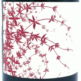 ヴァイン・スター・ジンファンデル・ソノマ・カウンティ[2018]ブロック・セラーズ【カリフォルニア　自然派　赤ワイン】