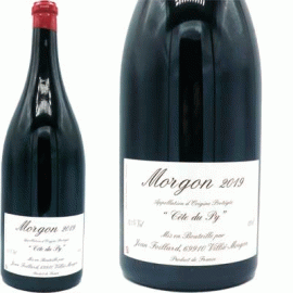 モルゴン・コート・ド・ピィ[2019]ジャン・フォワヤール（1500ml）【フランス　ブルゴーニュ　自然派　赤ワイン】