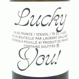 ラッキー・ユー[2020]ローラン・サイヤール【フランス　ロワール　自然派　白ワイン】