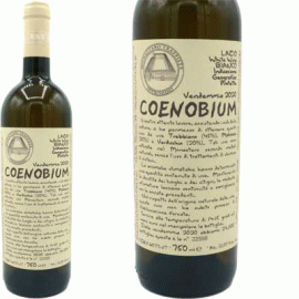 コエノビウム[2020]モナステーロ・ディ・ヴィトルキアーノ【自然派　イタリア　白ワイン】