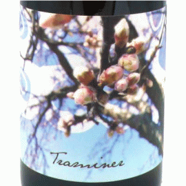 トラミーナー[2020]ユーディト・ベック【オーストリア　自然派　オレンジワイン】