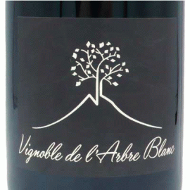 レ・ゾルグ[2017]ラルブル・ブラン【フランス　オーヴェルニュ　自然派　赤ワイン】