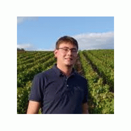 ピュリニー・モンラッシェ・1erCru・レ・ピュセル[2020]バロレ・ペルノ【フランス　ブルゴーニュ　白ワイン】
