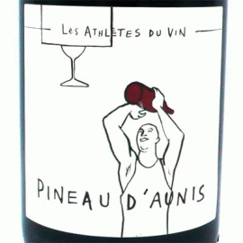 ピノ・ドニス[2020]レ・ザスレット・デュ・ヴァン【フランス　ロワール　自然派　赤ワイン】