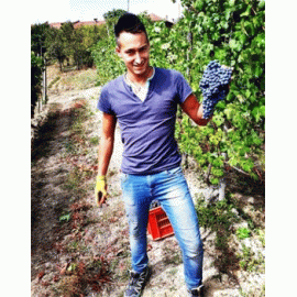 ランゲ・バルベーラ[2020]ニコラ・アルターレ【イタリア　ピエモンテ　自然派　赤ワイン】