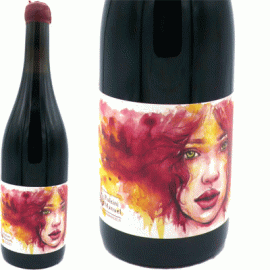 バルビコア[2020]マヌエル・プルチーニ【イタリア　トスカーナ　自然派　赤ワイン】