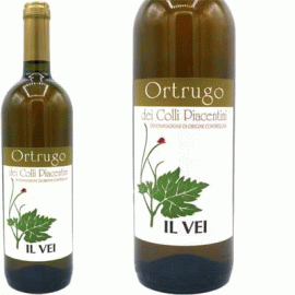 オルトゥルーゴ[2020]イル・ヴェイ【イタリア　エミリア・ロマーニャ　自然派　白ワイン】