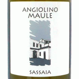サッサイア[2020]ラ・ビアンカーラ（酸化防止剤無添加バージョン）【イタリア　ヴェネト　自然派　白ワイン】