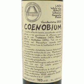 コエノビウム[2021]モナステーロ・ディ・ヴィトルキアーノ【自然派　イタリア　白ワイン】