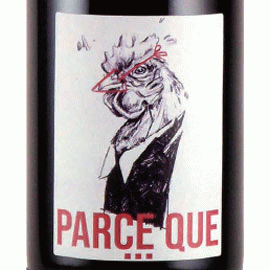 パスク[2021]ジュリアン・ピノー【フランス　ロワール　自然派　赤ワイン】