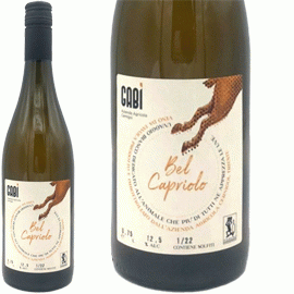 ベルカプリオーロ[2021]ガビ【イタリア　フリウリ　自然派　オレンジワイン】