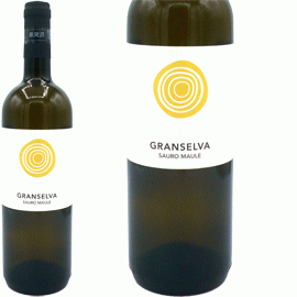 グランセルヴァ[2020]イル・カヴァッリーノ【イタリア　ヴェネト　自然派　白ワイン】