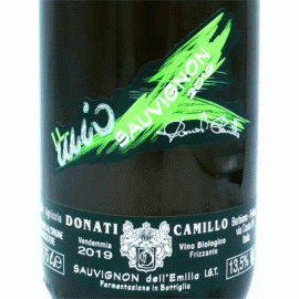 ソーヴィニヨン・フリッザンテ・セッコ[2021]カミッロ・ドナーティ【自然派ワイン　イタリア　微発泡ワイン】