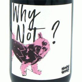 ホワイ・ノット？ ピノ・ノワール[2021]KAZU WINE【ニュージーランド　自然派　赤ワイン】