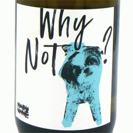 ホワイ・ノット？ シャルドネ[2021]KAZU WINE【ニュージーランド　自然派　白ワイン】