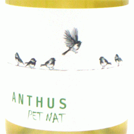 アンサス・ペット・ナット (Lot2022)グアポス・ワイン・プロジェクト【ポルトガル　微発泡ワイン　白】