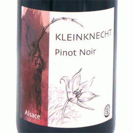 ピノ・ノワール[2021]クラインクネヒト【フランス　アルザス　自然派　赤ワイン】
