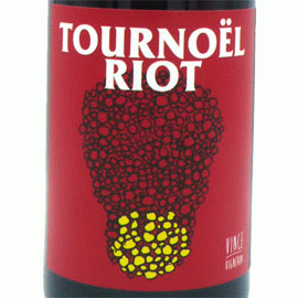 トゥールノエル・ライオット[2021]ノー・コントロール【フランス オーヴェルニュ　自然派　赤ワイン】