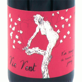 ヴィ・ヴォン[2021]レ・ヴィーニュ・ド・ラトリ（エリーズ・ハマン）【フランス　ロワール　自然派　赤ワイン】