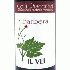 バルベーラ[2020]イル・ヴェイ【イタリア　エミリア・ロマーニャ　自然派ワイン　赤ワイン】