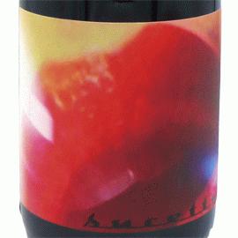 シュセット[2018]アン・アプローチ・トゥー・リラクゼーション【オーストラリア　自然派　赤ワイン】