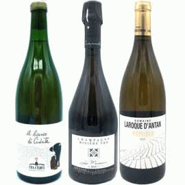 フラン・ド・ピエ[2015]ミニエールとVIVITのワイン合計3本セット