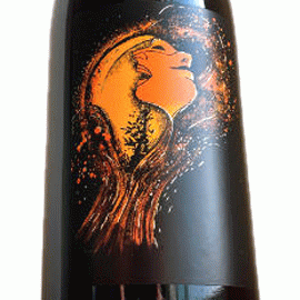 ヴェザニ[2021]バティスト・ナイラン【フランス　コトー・デュ・リヨネ　自然派　赤ワイン】