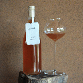 LAND.2023ファットリア・アル・フィオーレ 【日本 宮城県 オレンジワイン】