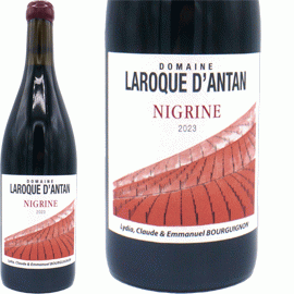 ニグリンヌ[2023]ラロック・ダンタン【フランス　シュッド・ウェスト　赤ワイン】