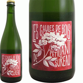 【10月31日から発送】ペティアン・スロー[NV]ロミュアルド・クージィ(レ・ゴール・ド・ボワ)【フランス　シュッド・ウェスト　自然派　微発泡ワイン　白】