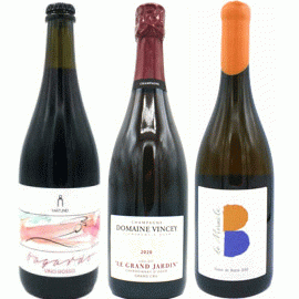 【11月中発送厳守】ル・グラン・ジャルダン[2020]ドメーヌ・ヴァンシー(1本＋他2本)合計3本セット【フランス　シャンパーニュ　自然派　白】