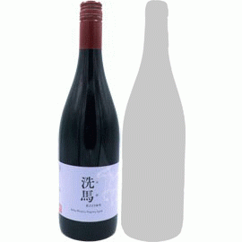 洗馬（赤）[2023]ドメーヌ・オヤマダ(1本+他1本)合計2本セット