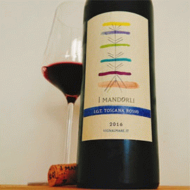 カベルネ・ソーヴィニヨン[2022]イ・マンドルリ【イタリア　トスカーナ　自然派　赤ワイン】
