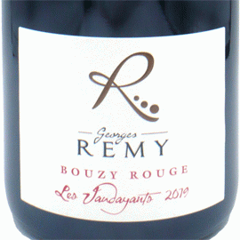 コトー・シャンプノワ・ブジィ・レ・ヴォダヤン[2022]ジョルジュ・レミ(1本＋他2本)合計3本セット