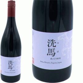 【12月中発送厳守】洗馬（赤）[2023]ドメーヌ・オヤマダ(1本+他1本)合計2本セット
