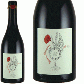 【12月26日から発送】コトー・ シャンプノワ・ルージュ[2020]トーマ・ペルスヴァル【フランス　シャンパーニュ　自然派　赤ワイン】