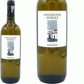 サッサイア[2023]ラ・ビアンカーラ【イタリア　ヴェネト　自然派　白ワイン】