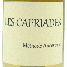 メトード・アンセストラル・ムニュ・ピノ[2020]レ・カプリアード【フランス　ロワール　自然派　微発泡ワイン　白】