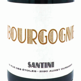 ブルゴーニュ・ブラン[2023]サンティニ・コレクティヴ【フランス　ブルゴーニュ　自然派　白ワイン】