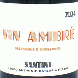 ヴァン・アンブレ[2024]サンティニ・コレクティヴ【フランス　ブルゴーニュ　自然派　オレンジワイン】