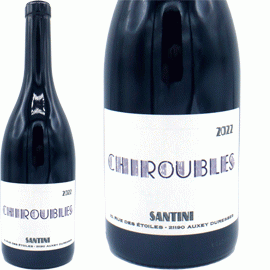 シルーブル[2024]サンティニ・コレクティヴ【フランス　ブルゴーニュ　自然派　赤ワイン】