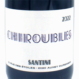 シルーブル[2024]サンティニ・コレクティヴ【フランス　ブルゴーニュ　自然派　赤ワイン】