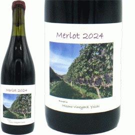 メルロー[2024]ミソノ・ヴィンヤード【日本　北海道　赤ワイン】