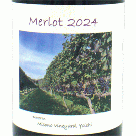 メルロー[2024]ミソノ・ヴィンヤード【日本　北海道　赤ワイン】
