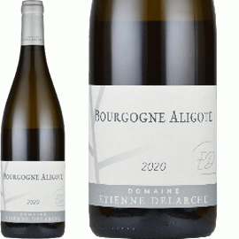ブルゴーニュ・アリゴテ[2023]エティエンヌ・ドラルシュ【フランス　ブルゴーニュ　白ワイン】