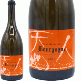 ブルゴーニュ・ブラン[2023]ルー・デュモン【フランス　ブルゴーニュ　白ワイン】